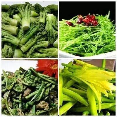 徽县吃瓜网红,揭秘当地美食文化新风尚